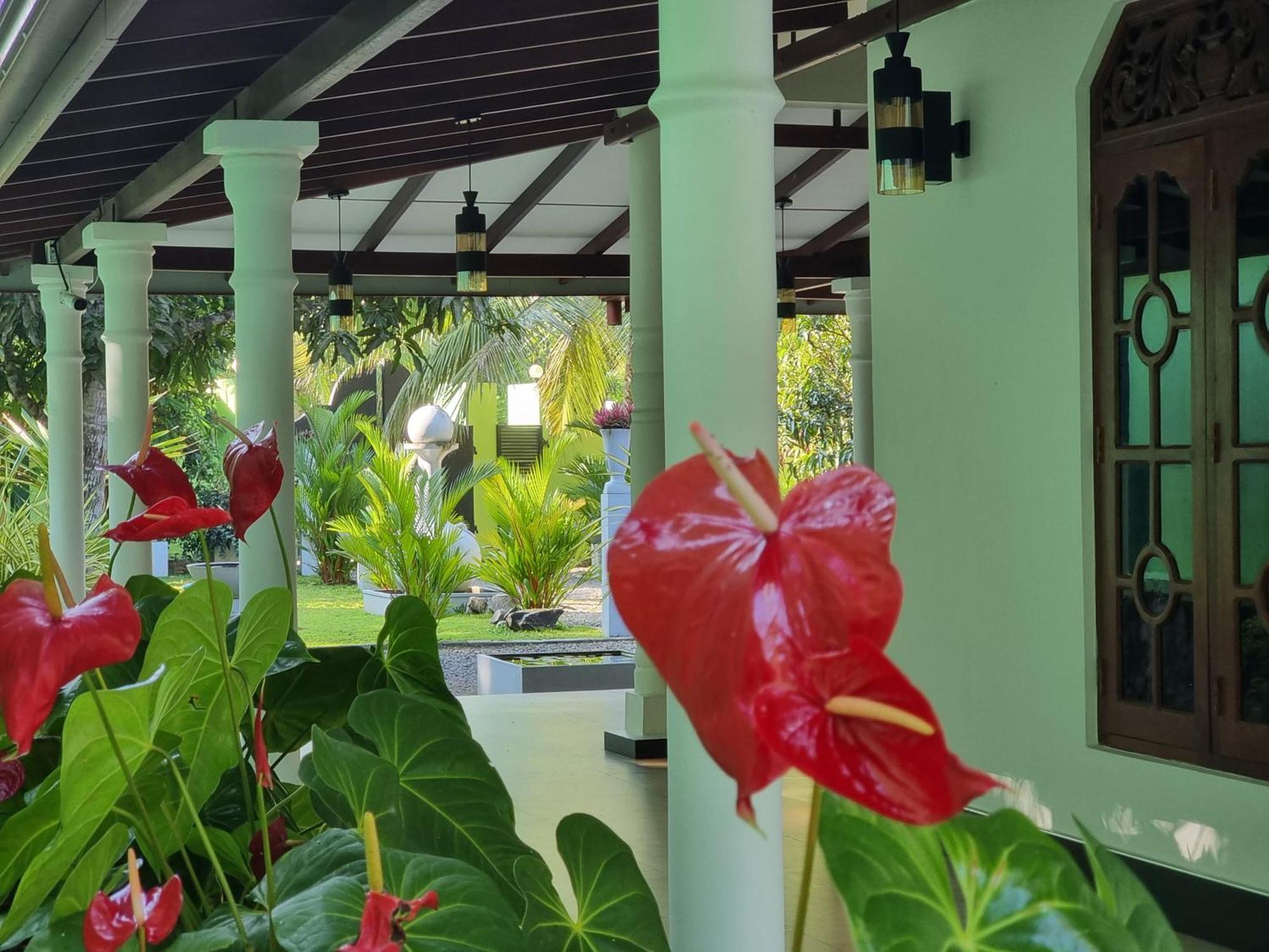 Nima Villa Tangalle Exteriér fotografie